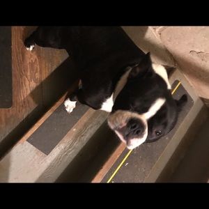 Meet your Posher, Jean